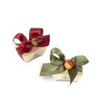 Κουτάκι μίνι με 2 σοκολατάκια  Gianduja και Χριστουγεννιάτικη διακόσμηση