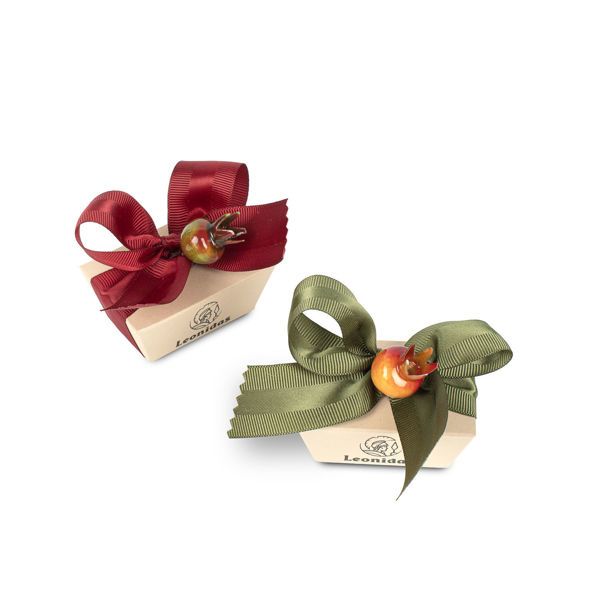 Κουτάκι μίνι με 2 σοκολατάκια  Gianduja και Χριστουγεννιάτικη διακόσμηση